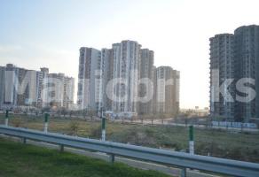 Land rates up, but YEIDA easy on group housing